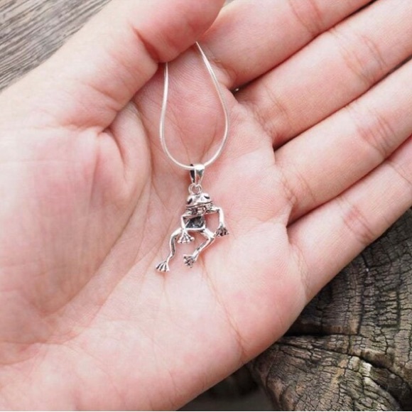 Frog Earring and Necklace Set Jewelry Silver Finish Pierced Earring Unisex. - Picture 5 of 5